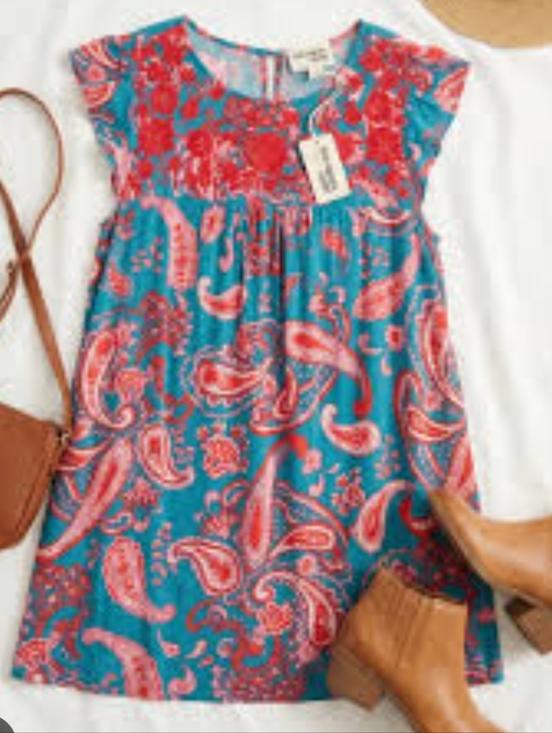 Savanna Jane Dresses & Skirts - NWT Savanna Jane Dress Paisley A-line Mini Embroidered Flutter Sleeve Small
